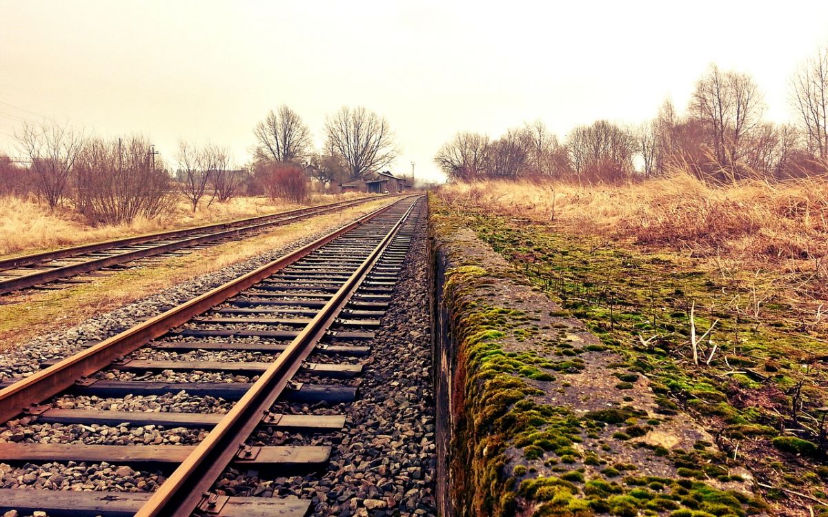 treno treno